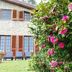 Camelia Tuscany Villa Pescia